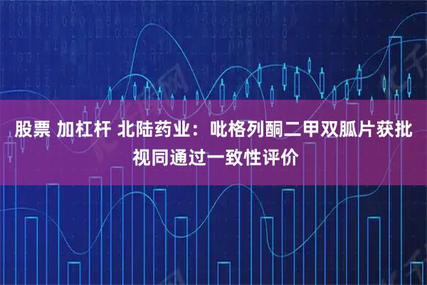 股票 加杠杆 北陆药业：吡格列酮二甲双胍片获批 视同通过一致性评价