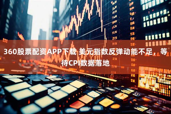 360股票配资APP下载 美元指数反弹动能不足，等待CPI数据落地