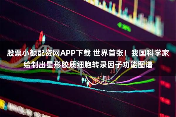股票小额配资网APP下载 世界首张！我国科学家绘制出星形胶质细胞转录因子功能图谱