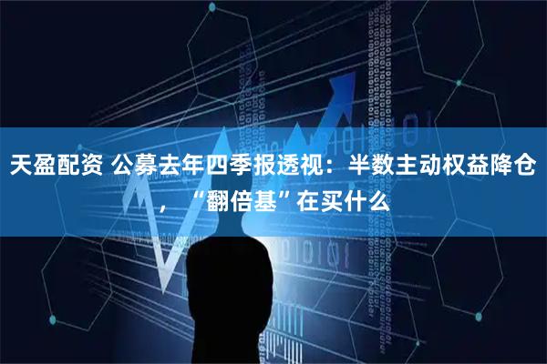 天盈配资 公募去年四季报透视：半数主动权益降仓， “翻倍基”在买什么