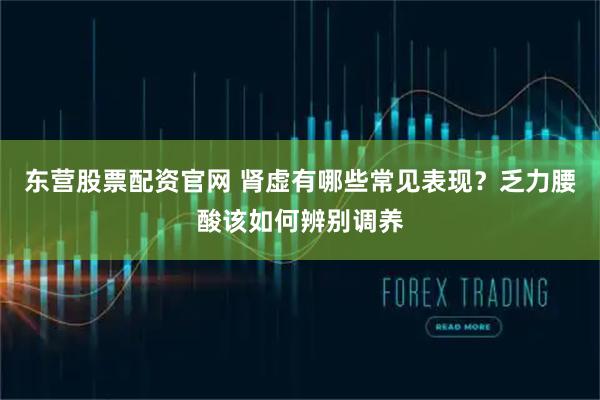 东营股票配资官网 肾虚有哪些常见表现？乏力腰酸该如何辨别调养