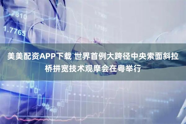 美美配资APP下载 世界首例大跨径中央索面斜拉桥拼宽技术观摩会在粤举行